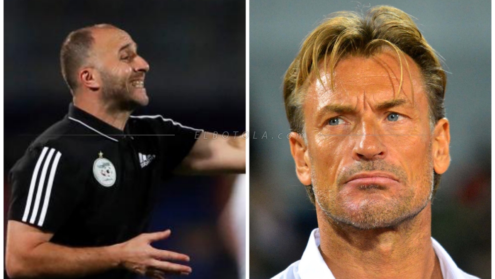 هيرفي رونار