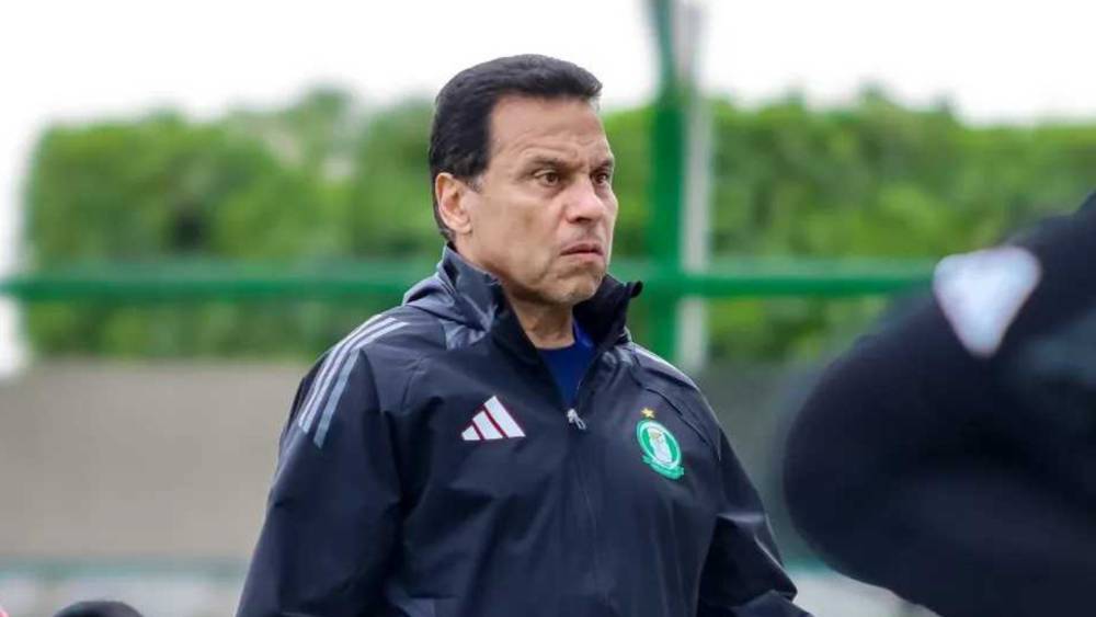 حسام البدري