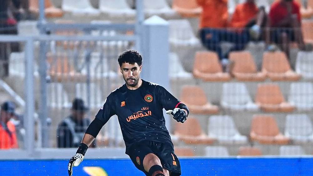 منير المحمدي